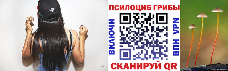 Псилоцибиновые грибы Psilocybine cubensis  Купить  Кодинск 